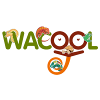 Wacool