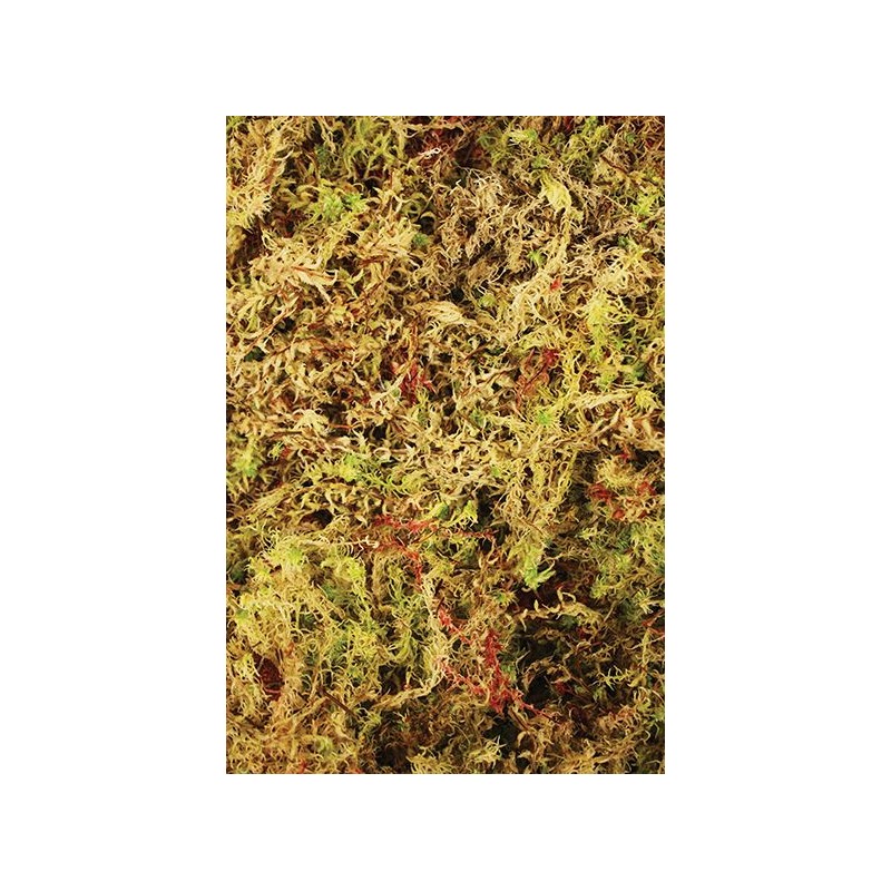 Живий мох Komodo Habitat Moss 1,5 л для тераріуму, амфібій та рептилій (83003)