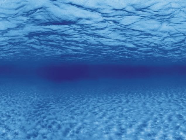 Акваріумний задній фон Aqua Nova Синє море/Камені з корчами 150x60см (TREE ROOTS/WATER XL)