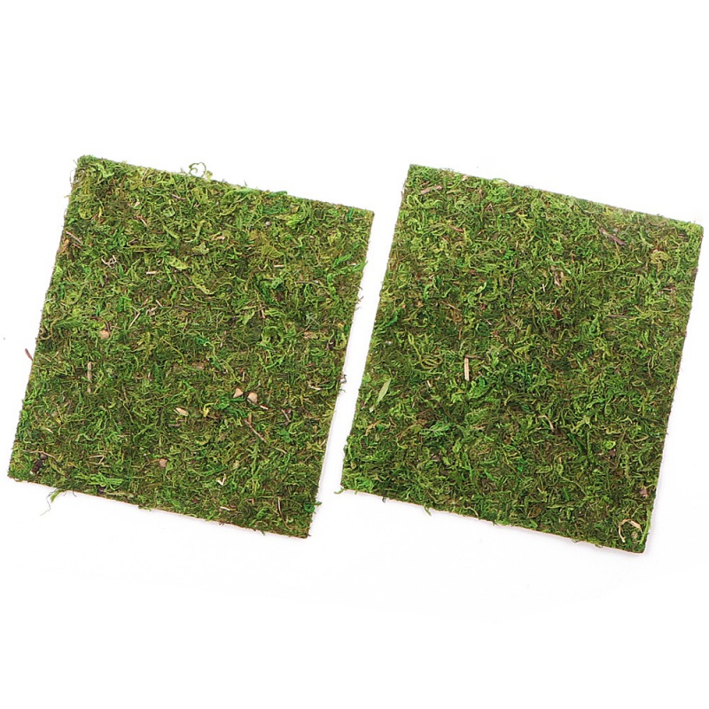 Фон з натурального моху Repti-Zoo Natural Moss Back & Bottom 20×20см 2 шт (NCM2020) для тераріуму
