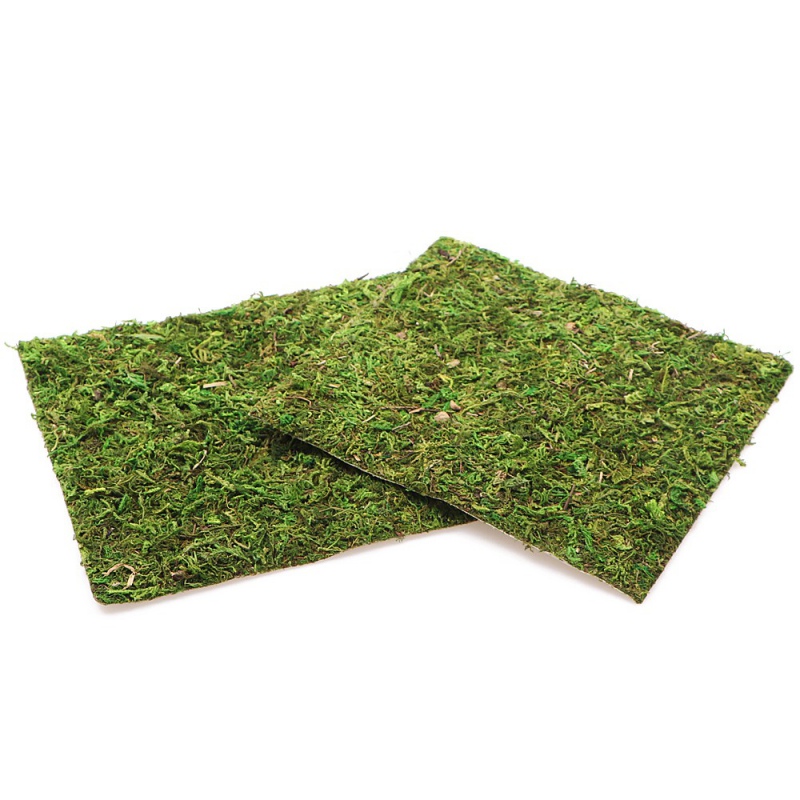Фон з натурального моху Repti-Zoo Natural Moss Back & Bottom 20×20см 2 шт (NCM2020) для тераріуму