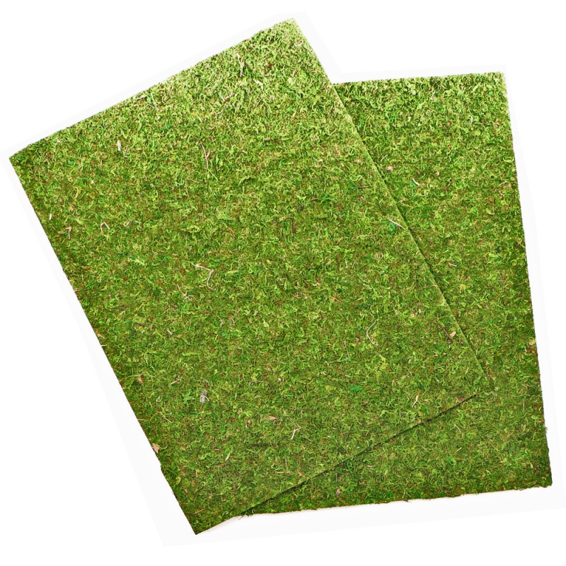 Фон з натурального моху Repti-Zoo Natural Moss Back & Bottom 20x30см 2 шт (NCM3020) для тераріуму