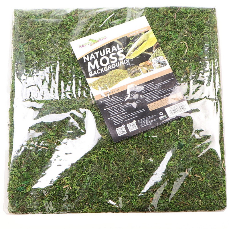 Фон з натурального моху Repti-Zoo Natural Moss Back & Bottom 30x30см 2 шт (NCM3030) для тераріуму