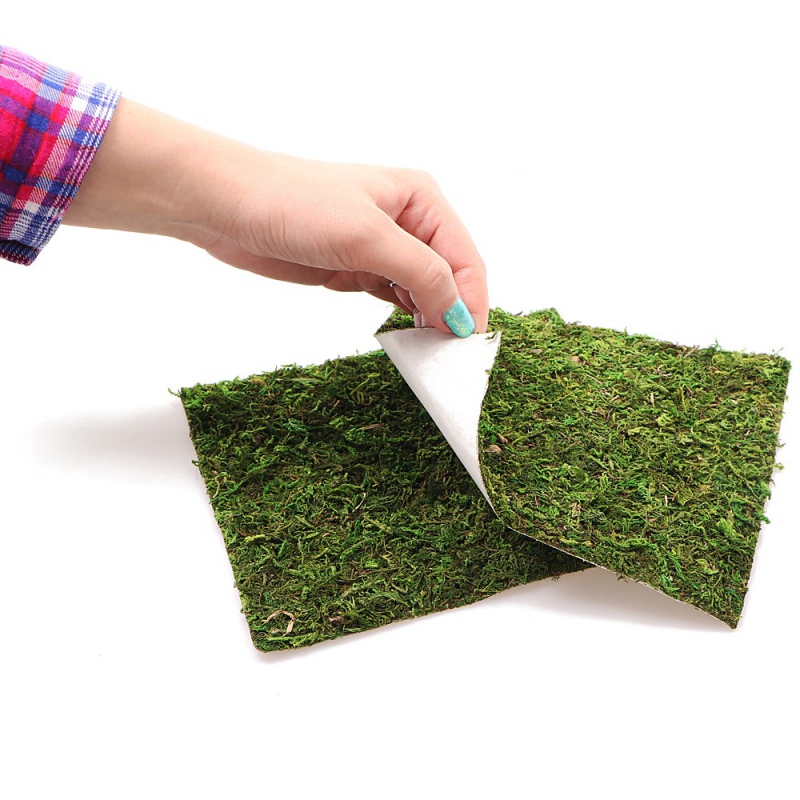 Фон з натурального моху Repti-Zoo Natural Moss Back & Bottom 30x30см 2 шт (NCM3030) для тераріуму