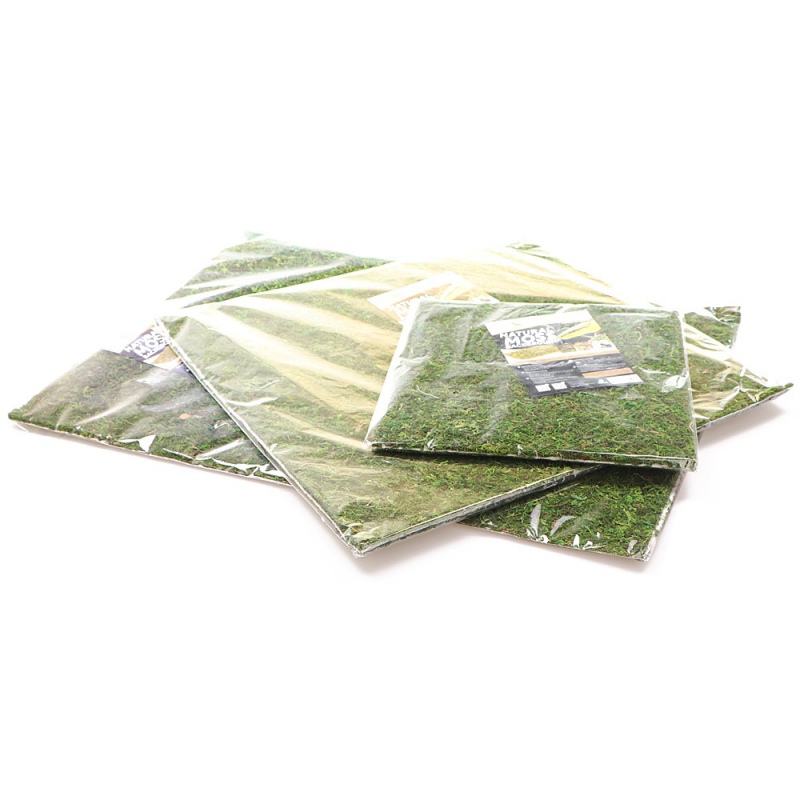 Фон з натурального моху Repti-Zoo Natural Moss Back & Bottom 30x30см 2 шт (NCM3030) для тераріуму