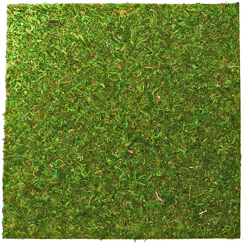 Фон з натурального моху Repti-Zoo Natural Moss Back & Bottom 45x45см 2 шт (NCM4545) для тераріуму