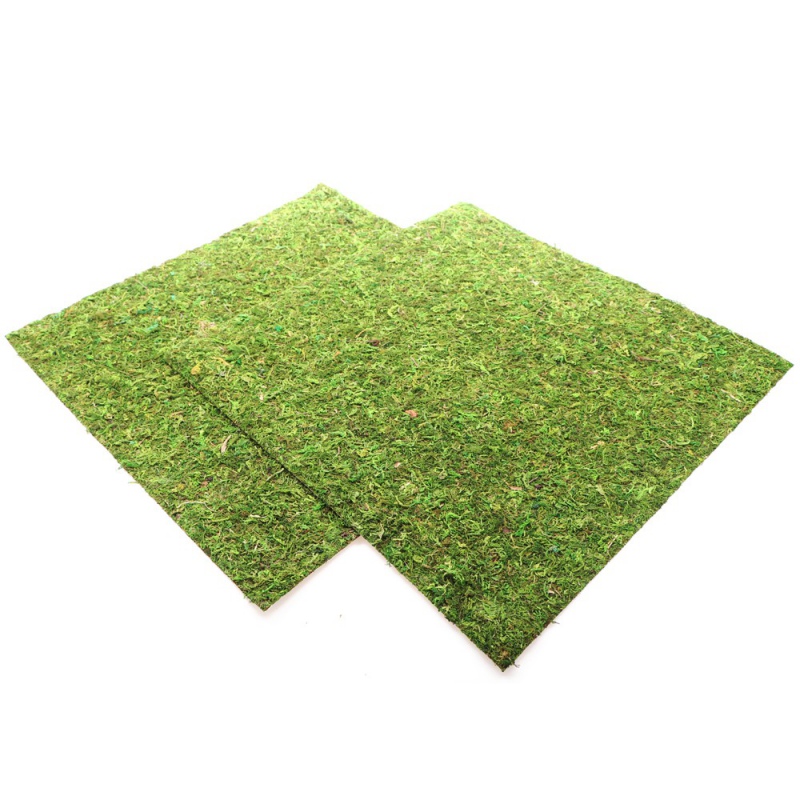 Фон з натурального моху Repti-Zoo Natural Moss Back & Bottom 45x45см 2 шт (NCM4545) для тераріуму