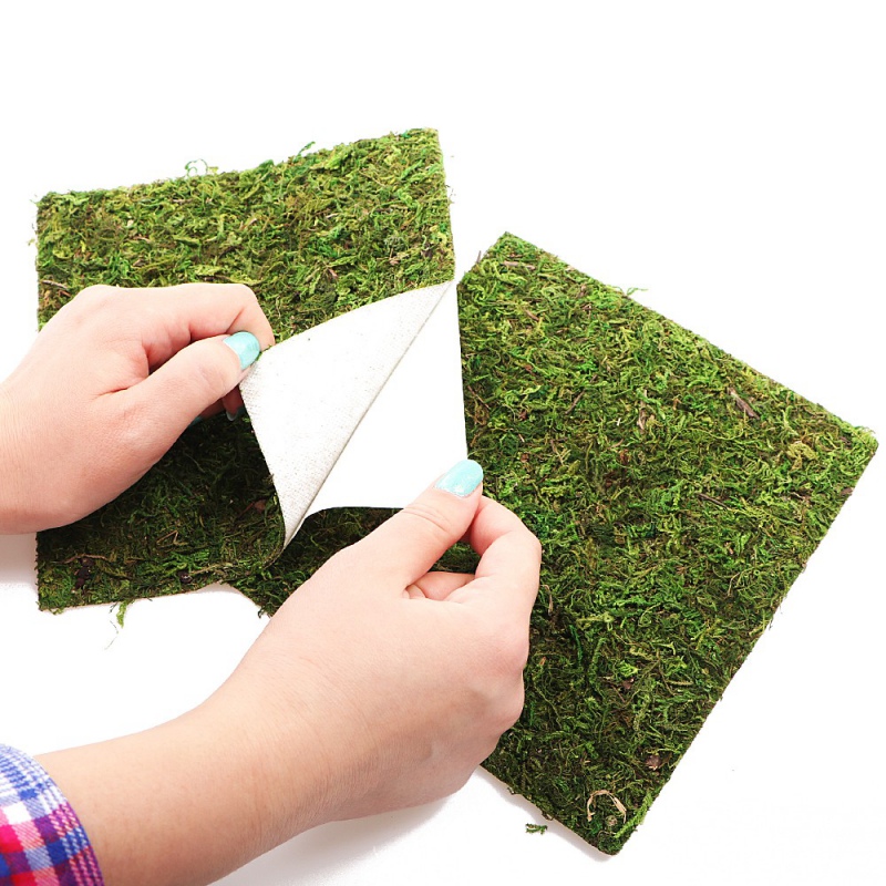Фон з натурального моху Repti-Zoo Natural Moss Back & Bottom 45x45см 2 шт (NCM4545) для тераріуму