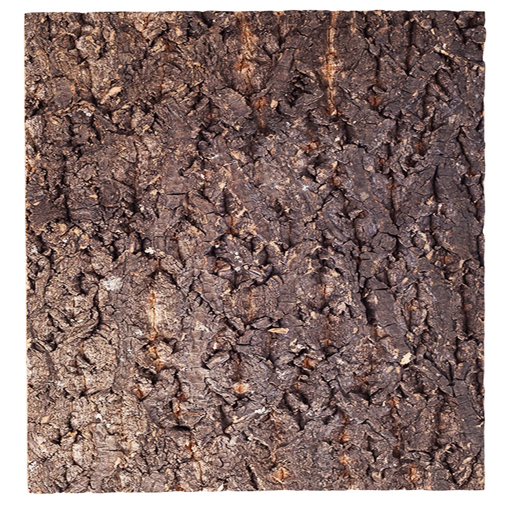 Фон з кори Repti-Zoo Big Tree Background 45x45 см (NCT03) для тераріуму