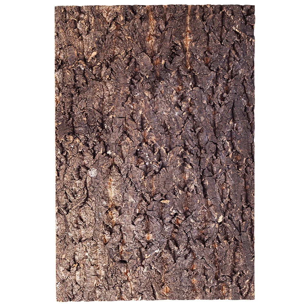 Фон з кори Repti-Zoo Big Tree Background 45x60 см (NCT05) для тераріуму