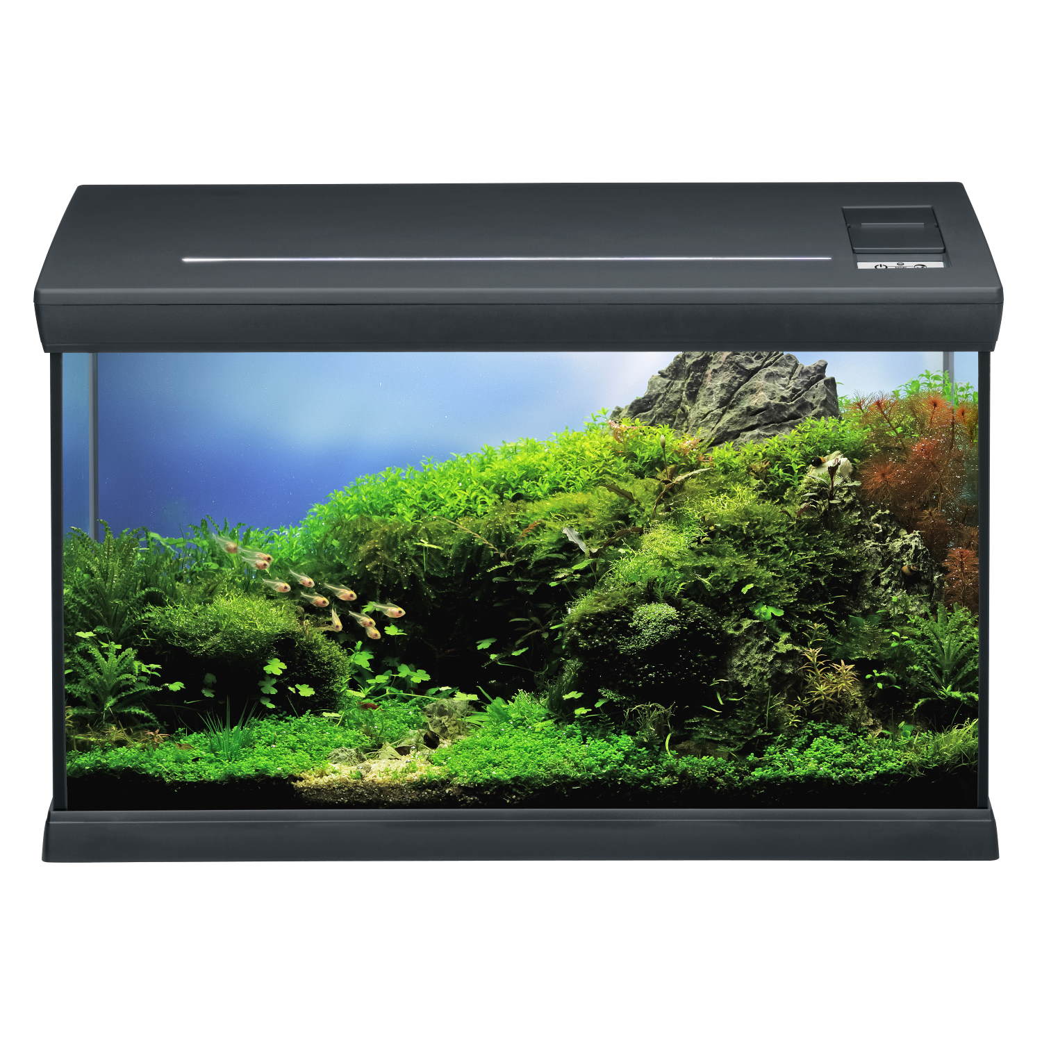 Акваріумний комплект чорний Eheim aquaclass 66 (0340710)