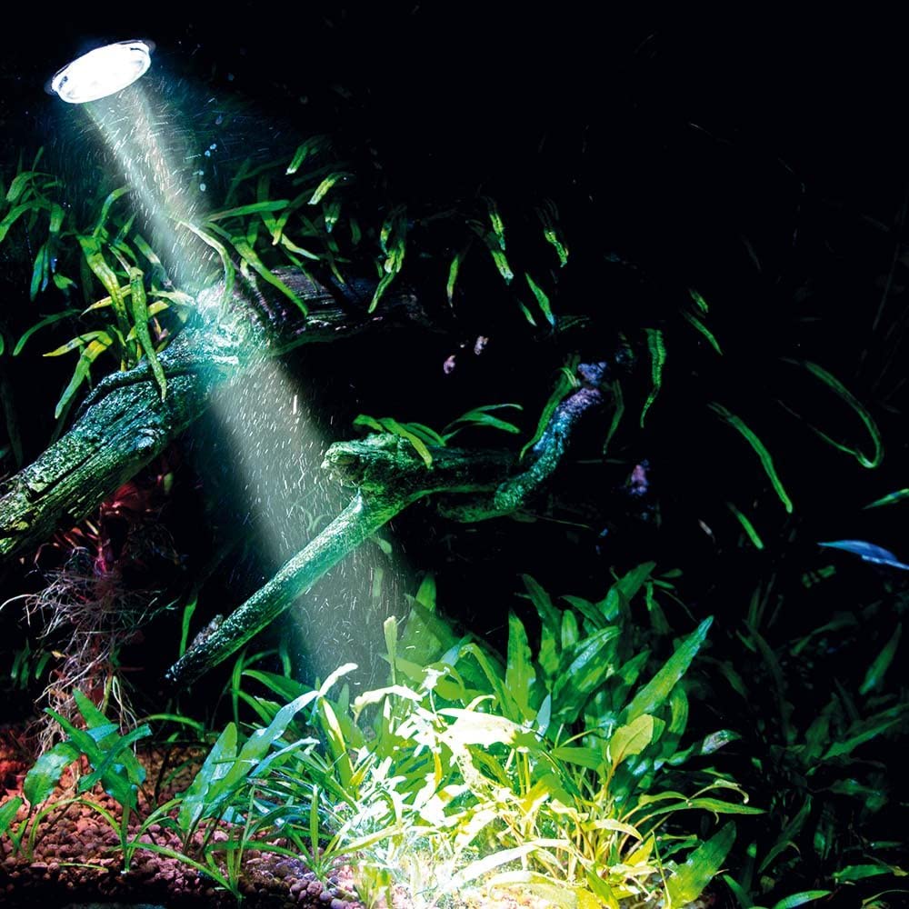 Розпилювач з LED освітленням Hobby Bubble Air Spot daylight (00673)