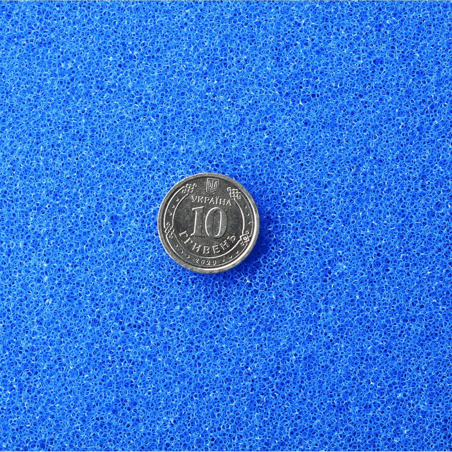 Фільтруюча губка тонкої очистки Hobby Filter sponge blue ​50x50x3см ppi 30 (20460) 
