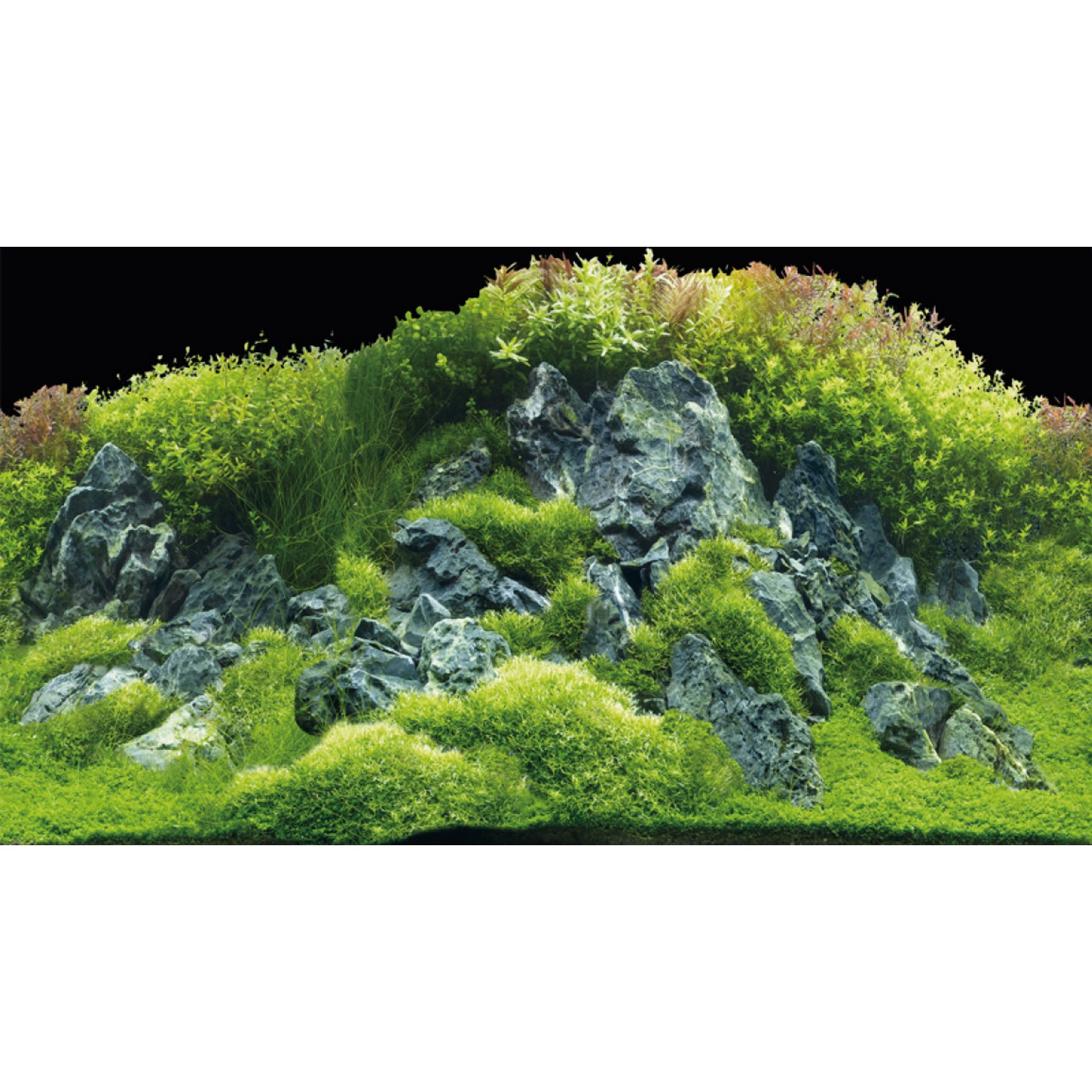 Задній фон Hobby Planted River/Green Rocks 100x50см (31044)