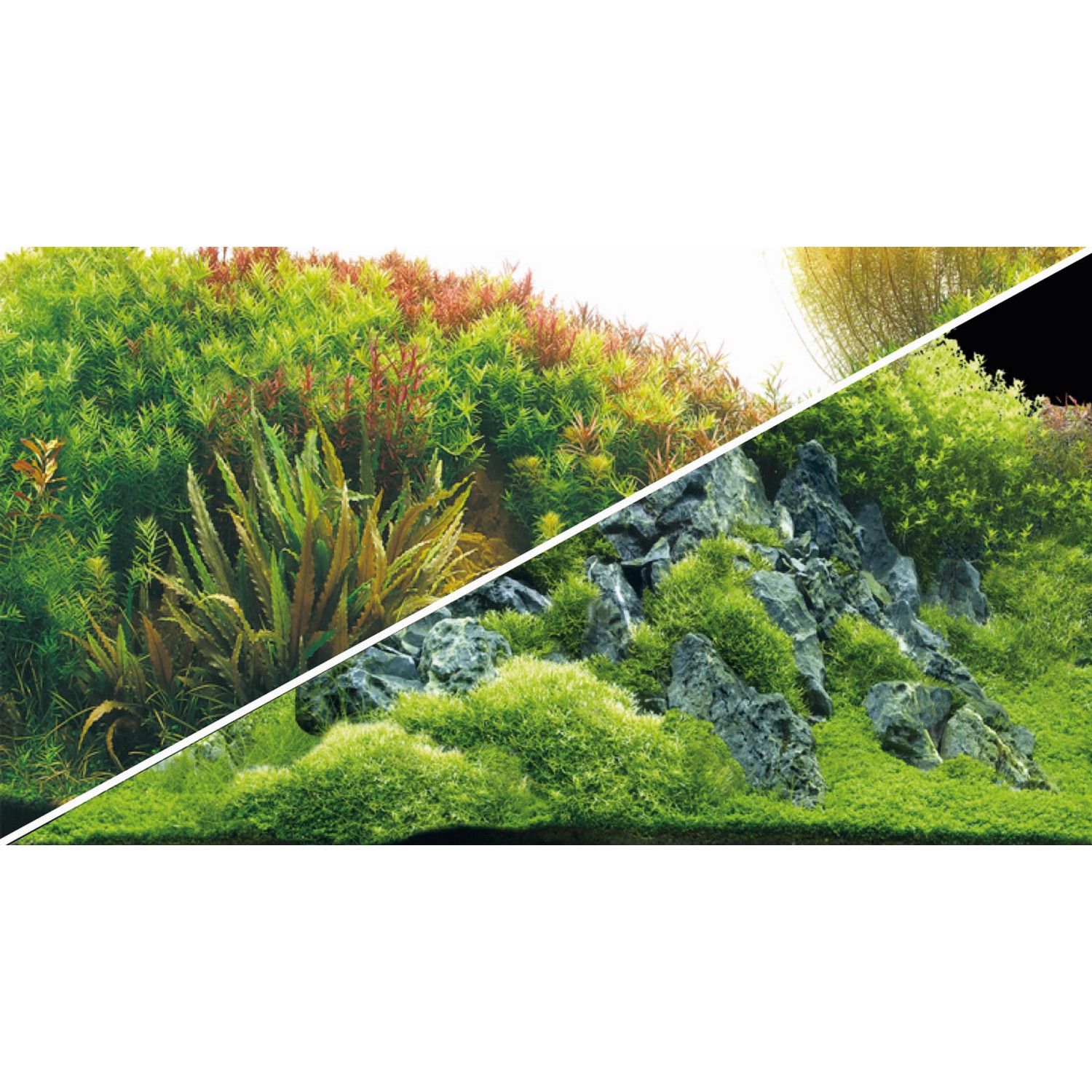 Задній фон Hobby Planted River/Green Rocks 120x50см (31045)