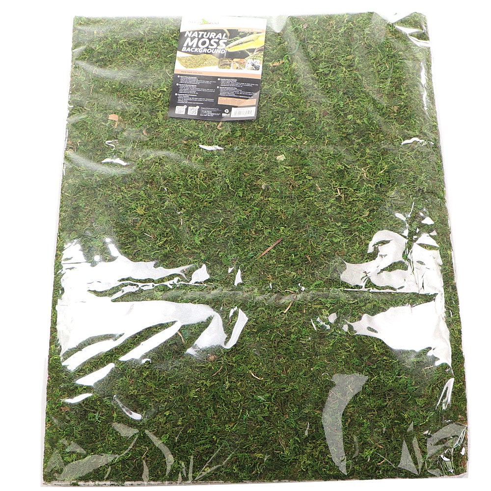 Фон з натурального моху Repti-Zoo Natural Moss Back & Bottom 50x25см 2 шт (NCM5025) для тераріуму