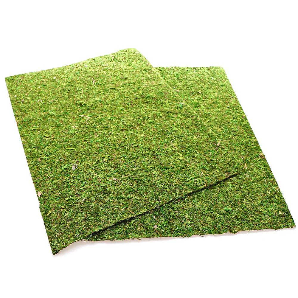 Фон з натурального моху Repti-Zoo Natural Moss Back & Bottom 50x25см 2 шт (NCM5025) для тераріуму