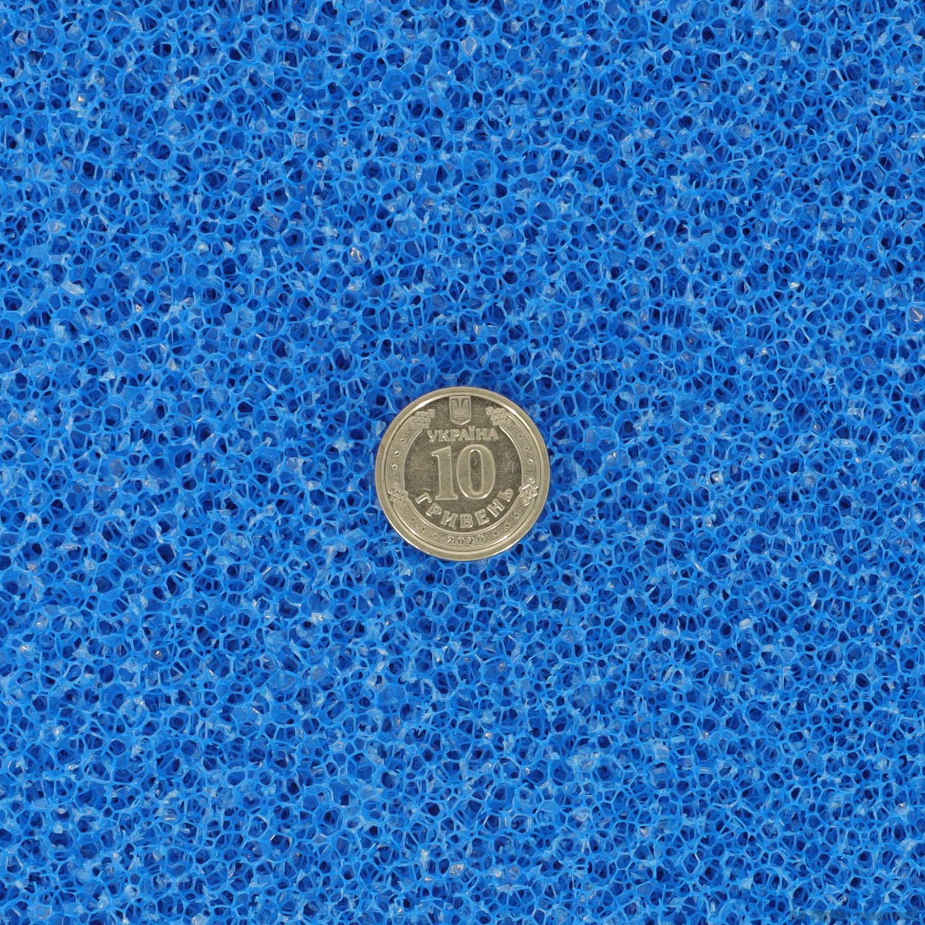 Фільтруюча губка грубої очистки Hobby Filter sponge blue ​50x50x10см ppi 10 (20485)