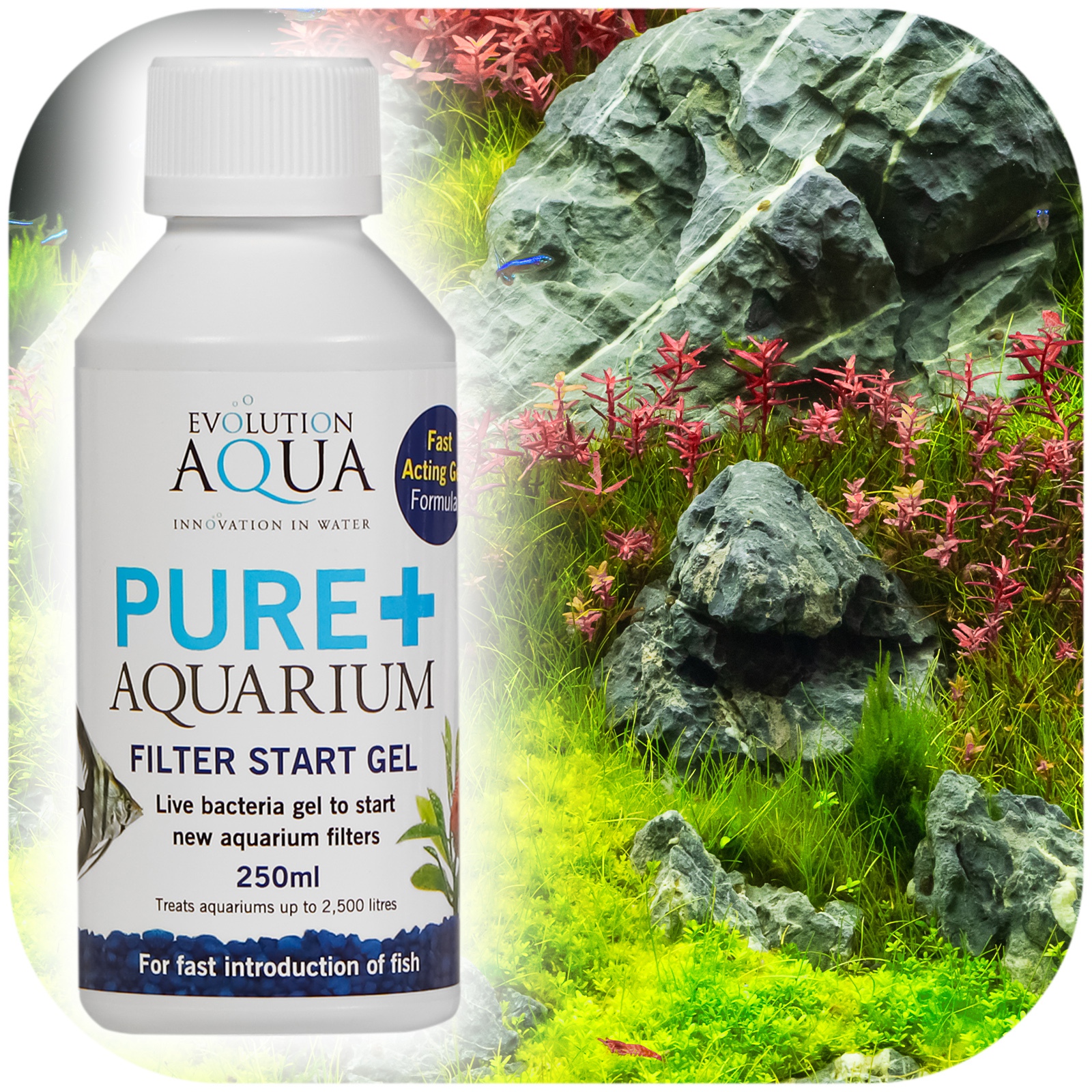 Бактерії в гелі Evolution Aqua PURE AQUARIUM FILTER START GEL 250мл.