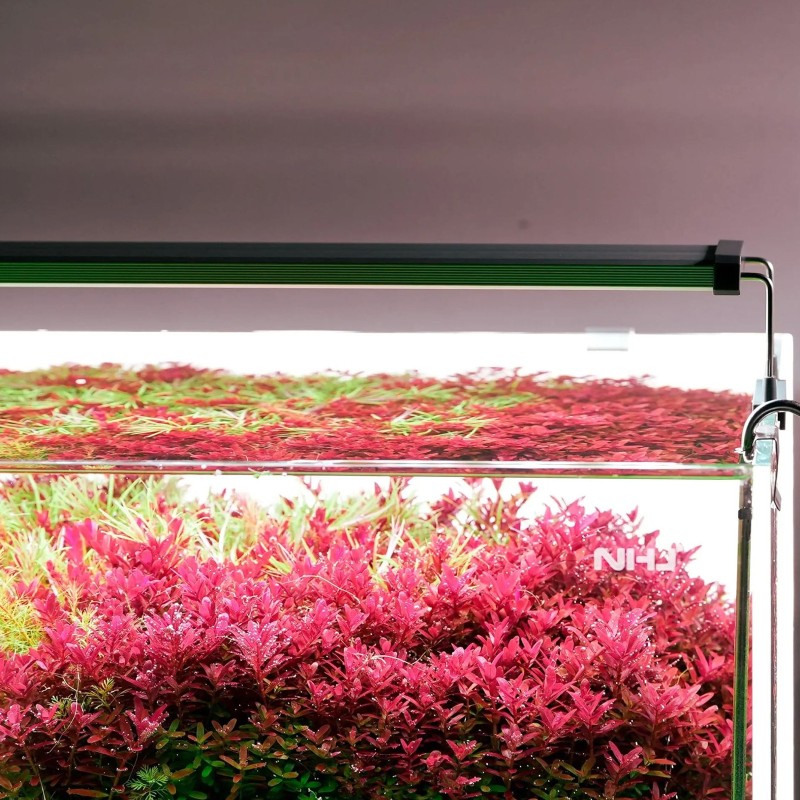 Светильник Chihiros B-Series B45 LED 45-65 см умное RGB-освещение для аквариума