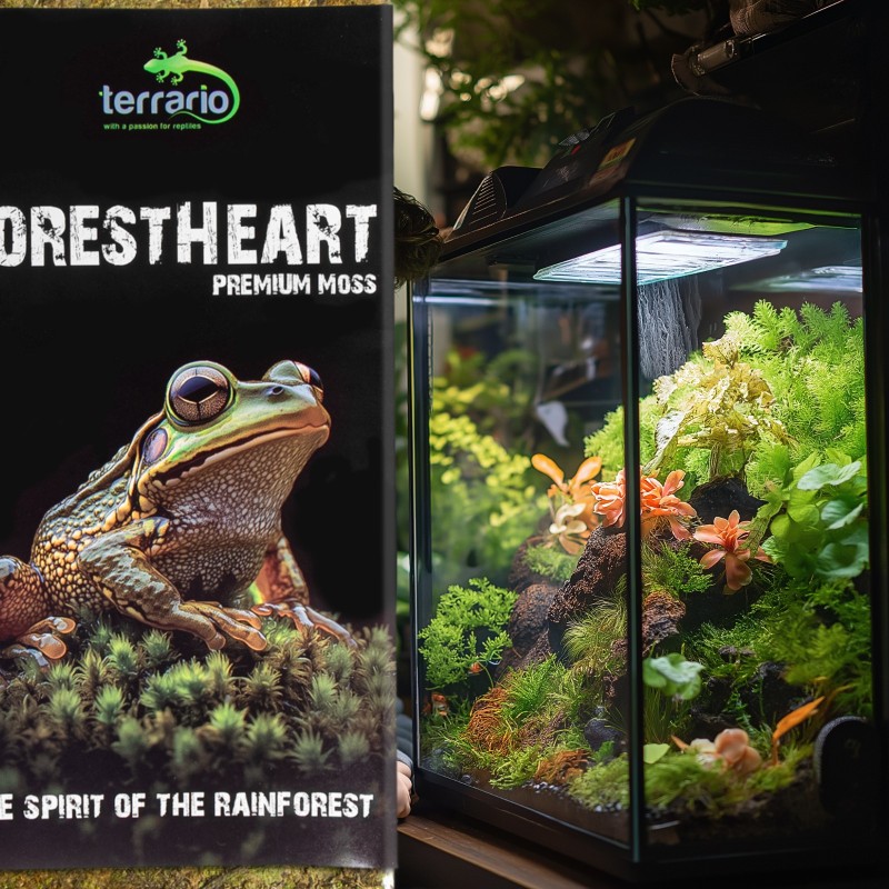 Натуральний мох торф’яний Terrario ForestHeart Sphagnum Moss 100г для тераріумів та орхідей