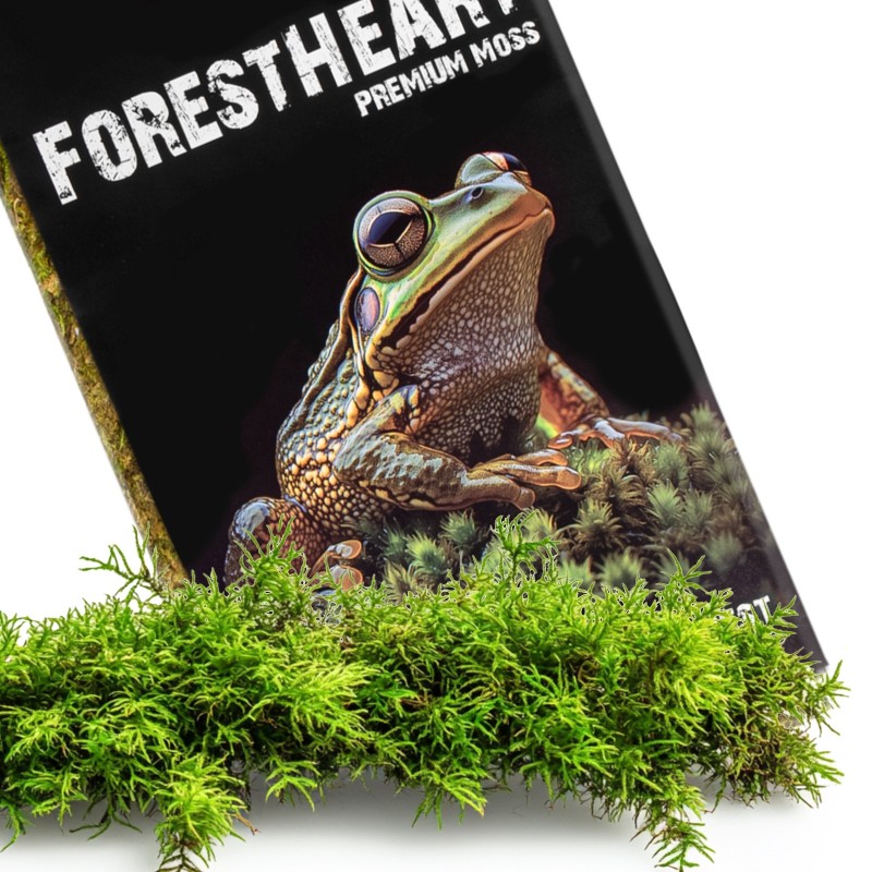 Натуральний мох торф’яний Terrario ForestHeart Sphagnum Moss 100г для тераріумів та орхідей