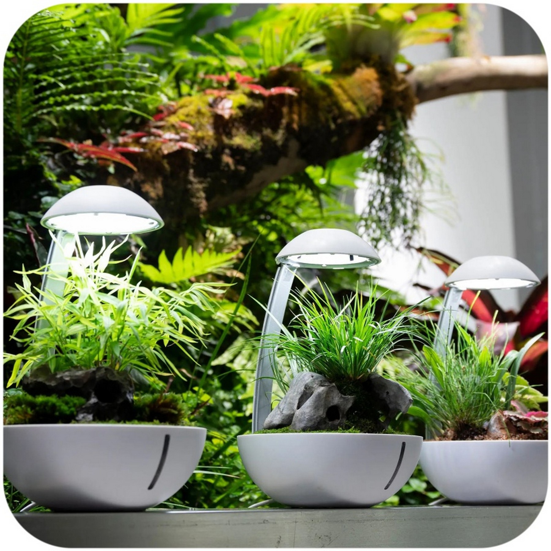 Мінітераріум Chihiros Tiny Terrarium Egg з LED-підсвіткою та керуванням через застосунок