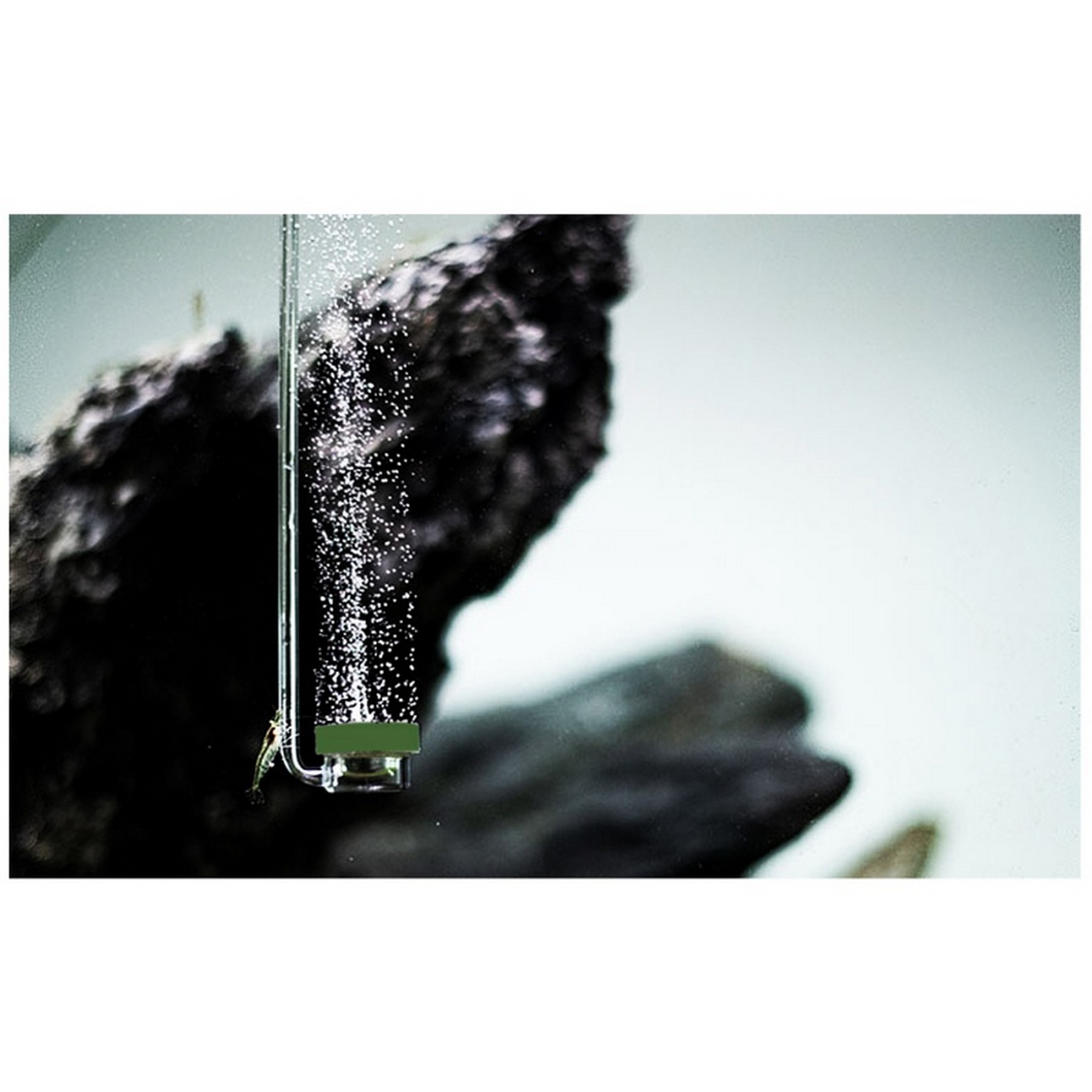 Розпилювач для компресора та CO2 Aquario Neo Diffuser Special Curved Air Green M 28 см
