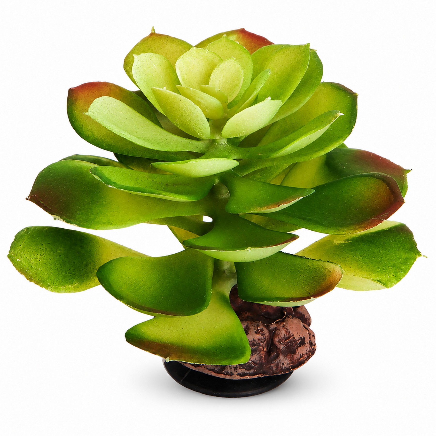 Штучна рослина Hobby Terra Succulent 4 17 см (37733) для тераріуму, акватераріуму та палюдаріуму