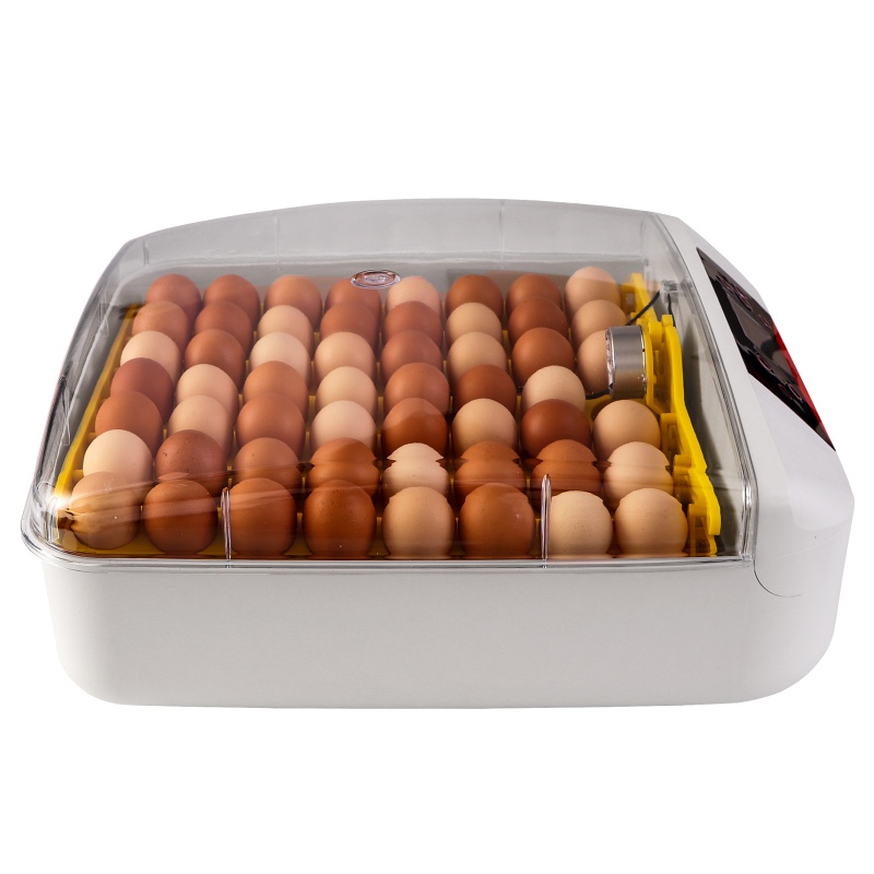 Інкубатор автоматичний Kruger Meier ProEggora 56 Auto на 56 яєць з овоскопом