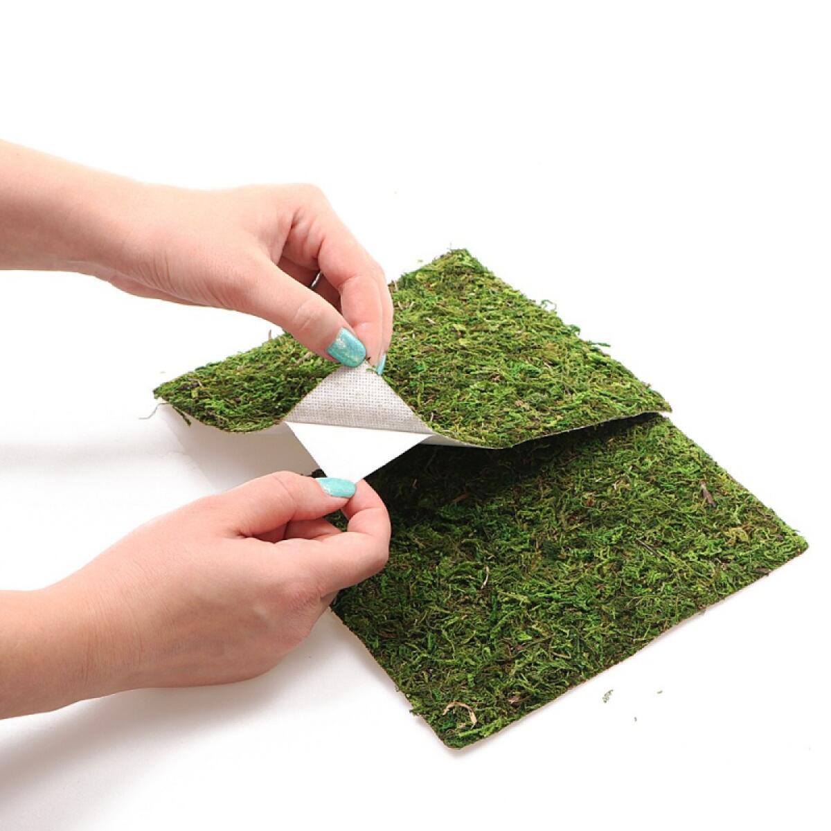 Фон з натурального моху Repti-Zoo Natural Moss Back & Bottom 20×20см 2 шт (NCM2020) для тераріуму