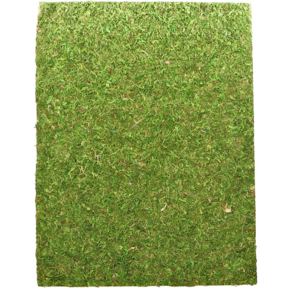 Фон з натурального моху Repti-Zoo Natural Moss Back & Bottom 20x30см 2 шт (NCM3020) для тераріуму