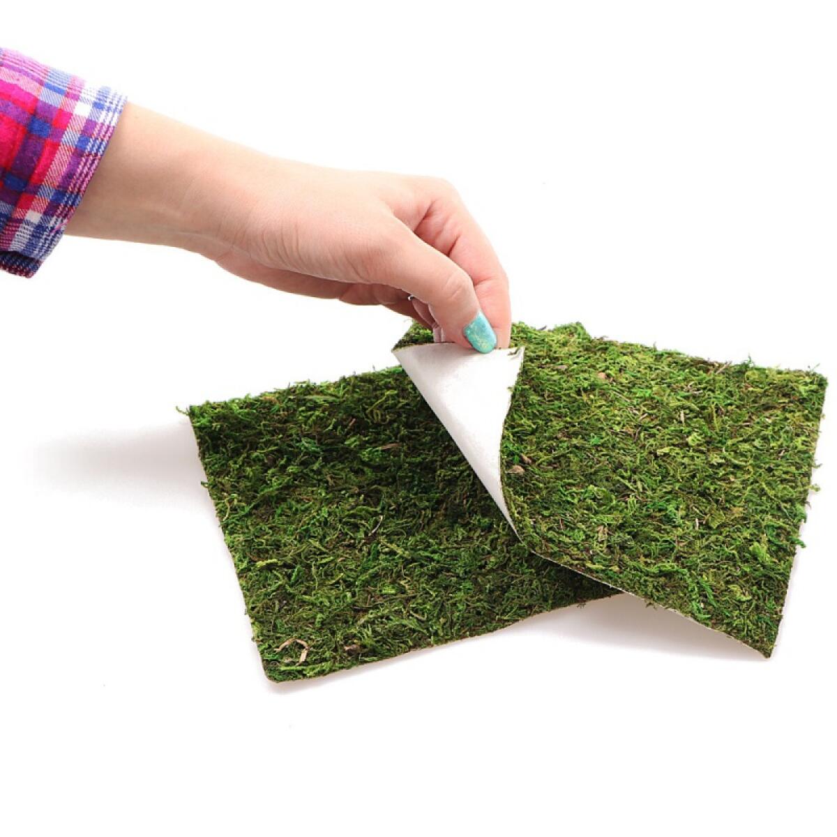 Фон з натурального моху Repti-Zoo Natural Moss Back & Bottom 30x30см 2 шт (NCM3030) для тераріуму