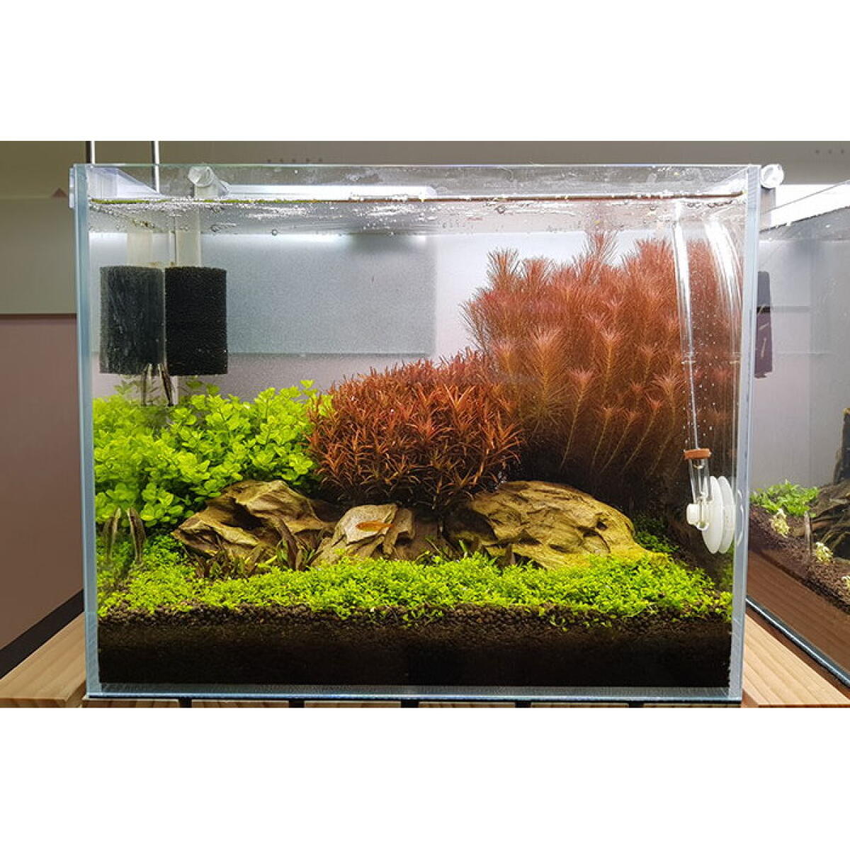 Грунт для акваріума Aquario Neo Soil Plant 8л (neo-soil-plant-8)