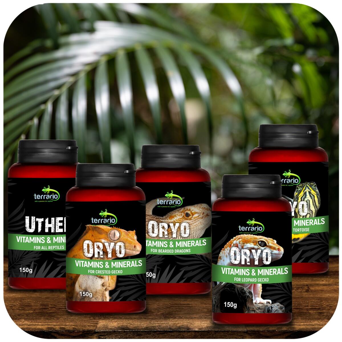 Вітаміни для війкового гекона бананаїда Terrario ORYO for Crested Gecko 150г