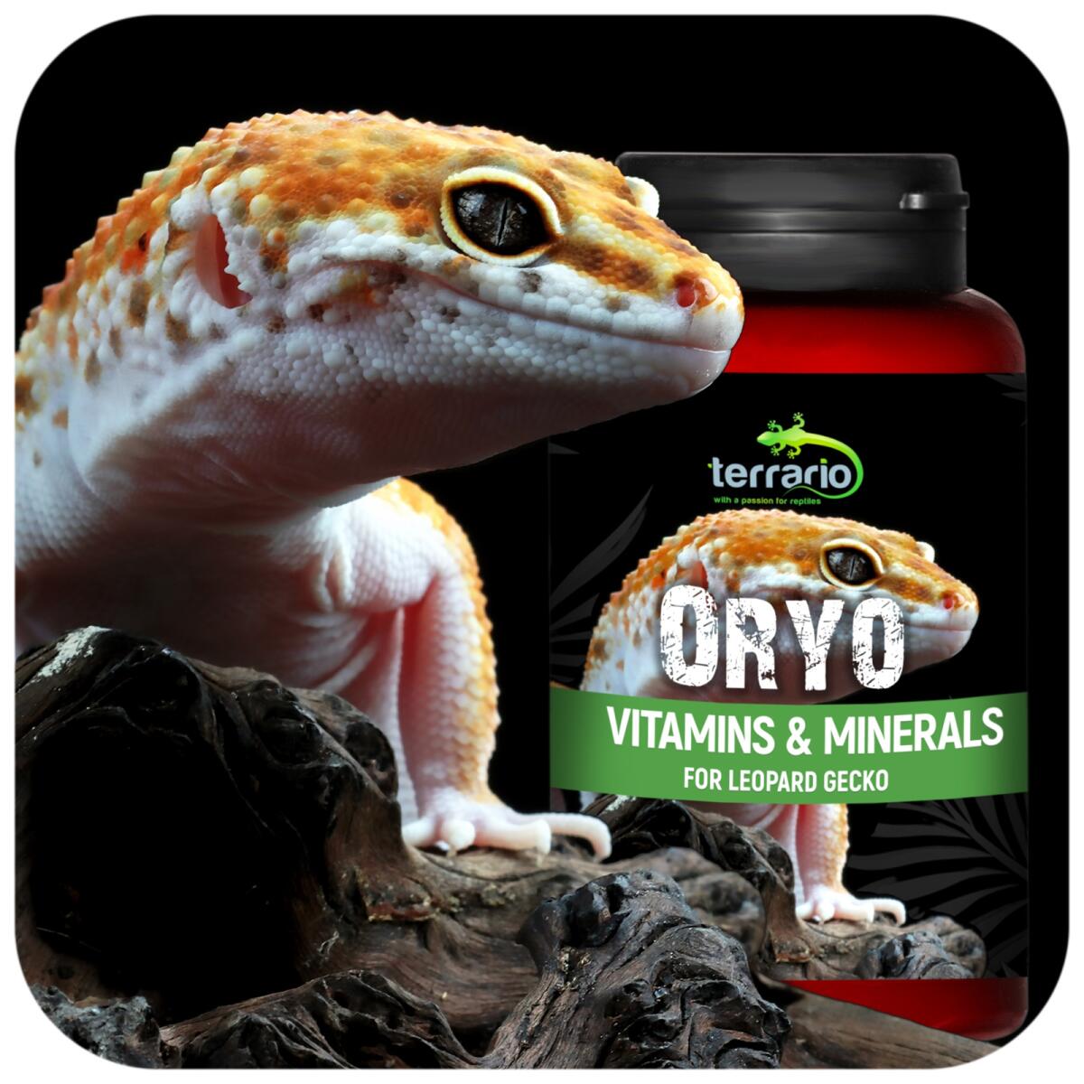 Вітаміни для леопардових геконів Terrario ORYO for Leopard Gecko 150г