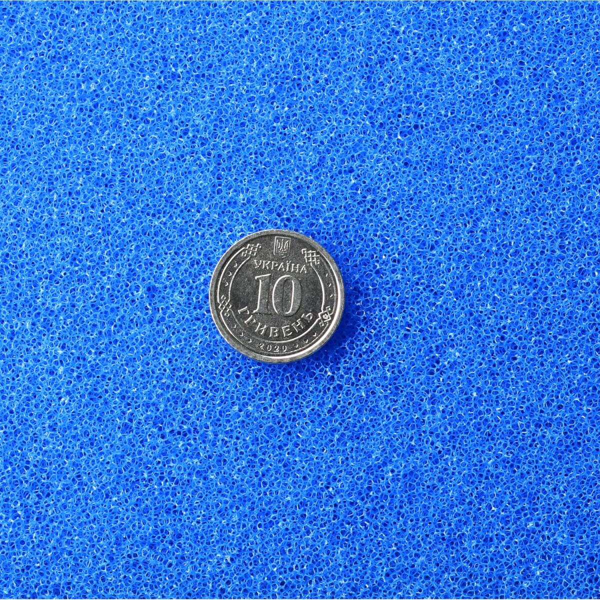 ​Фільтруюча губка тонкої очистки Hobby Filter sponge blue 50x50x10см ppi 30 (20470)