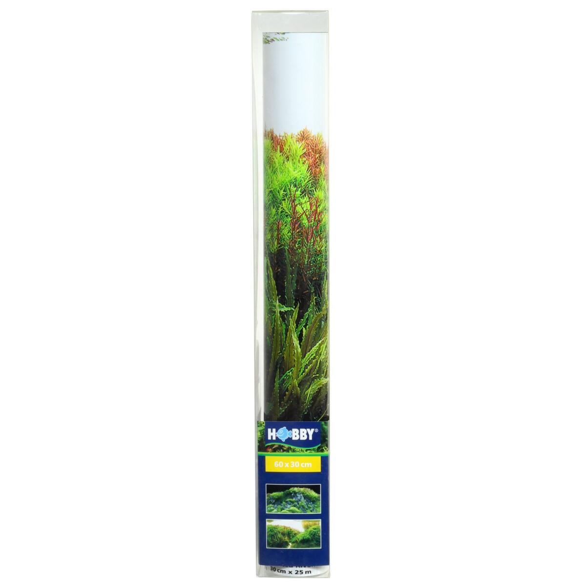 Задній фон Hobby Planted River/Green Rocks 60x30см (31043)