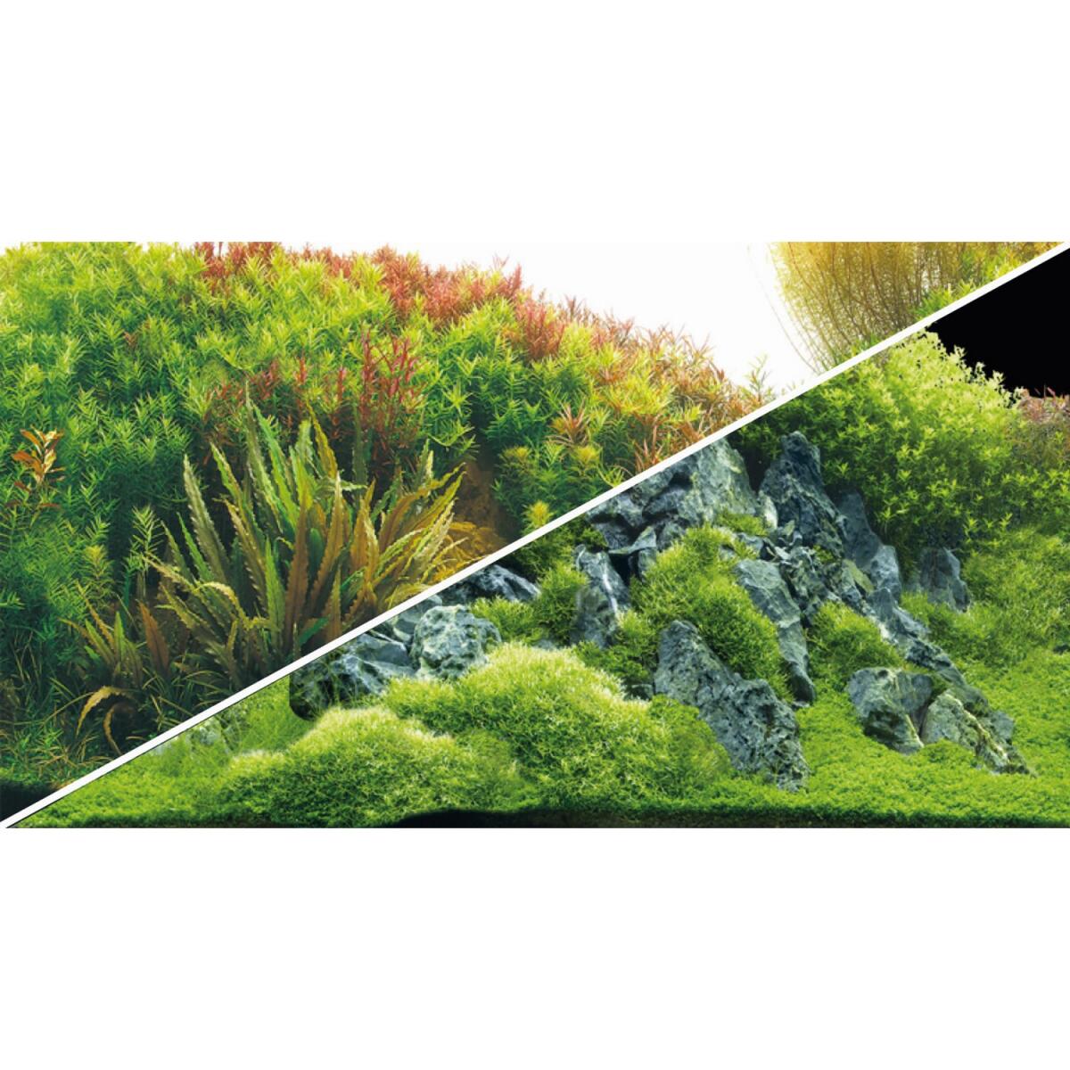 Задній фон Hobby Planted River/Green Rocks 100x50см (31044)