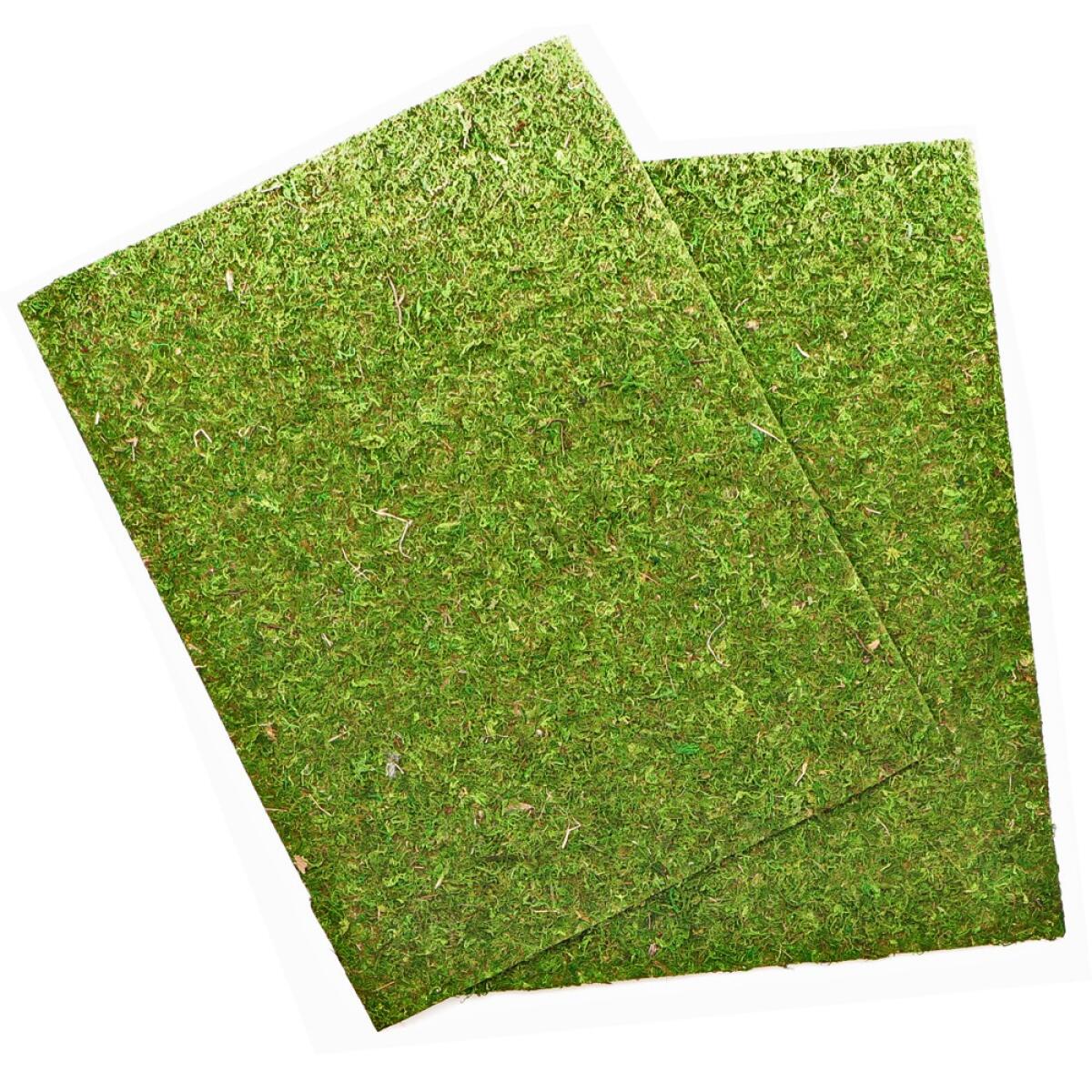 Фон з натурального моху Repti-Zoo Natural Moss Back & Bottom 50x25см 2 шт (NCM5025) для тераріуму