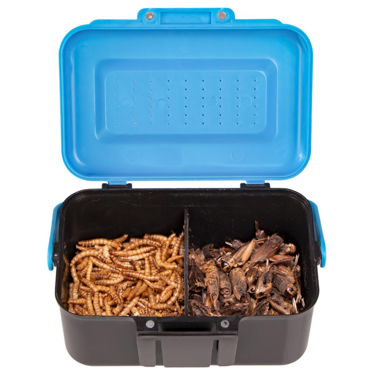 Подвійний контейнер для живого корму Terrario Live Food Box 13x9x7см