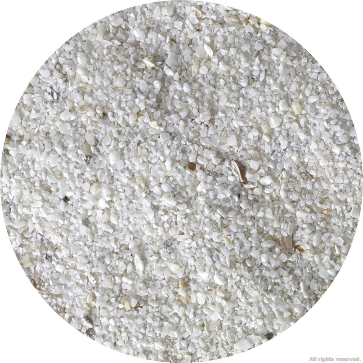 Живий пісок для морського акваріуму Aquaforest AF Bio Sand 10кг 0.5-1.5мм