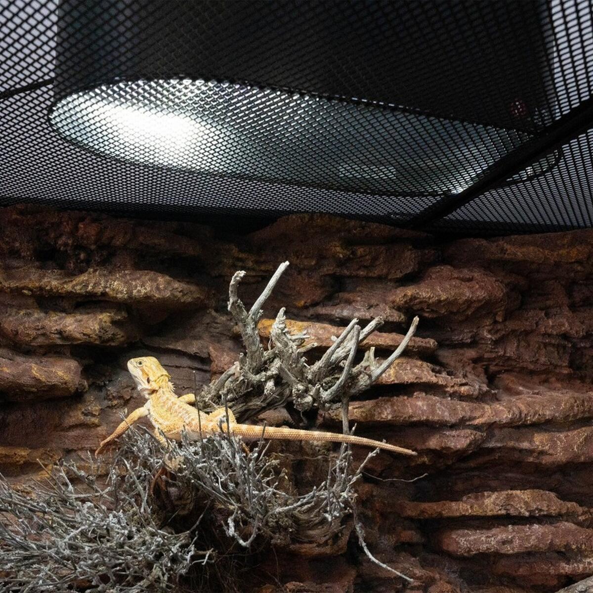 Лампа LED Repti-Zoo Desert and Tropical UVB 5.0 UVB 10.0 5W для тераріумів (LEDU04)