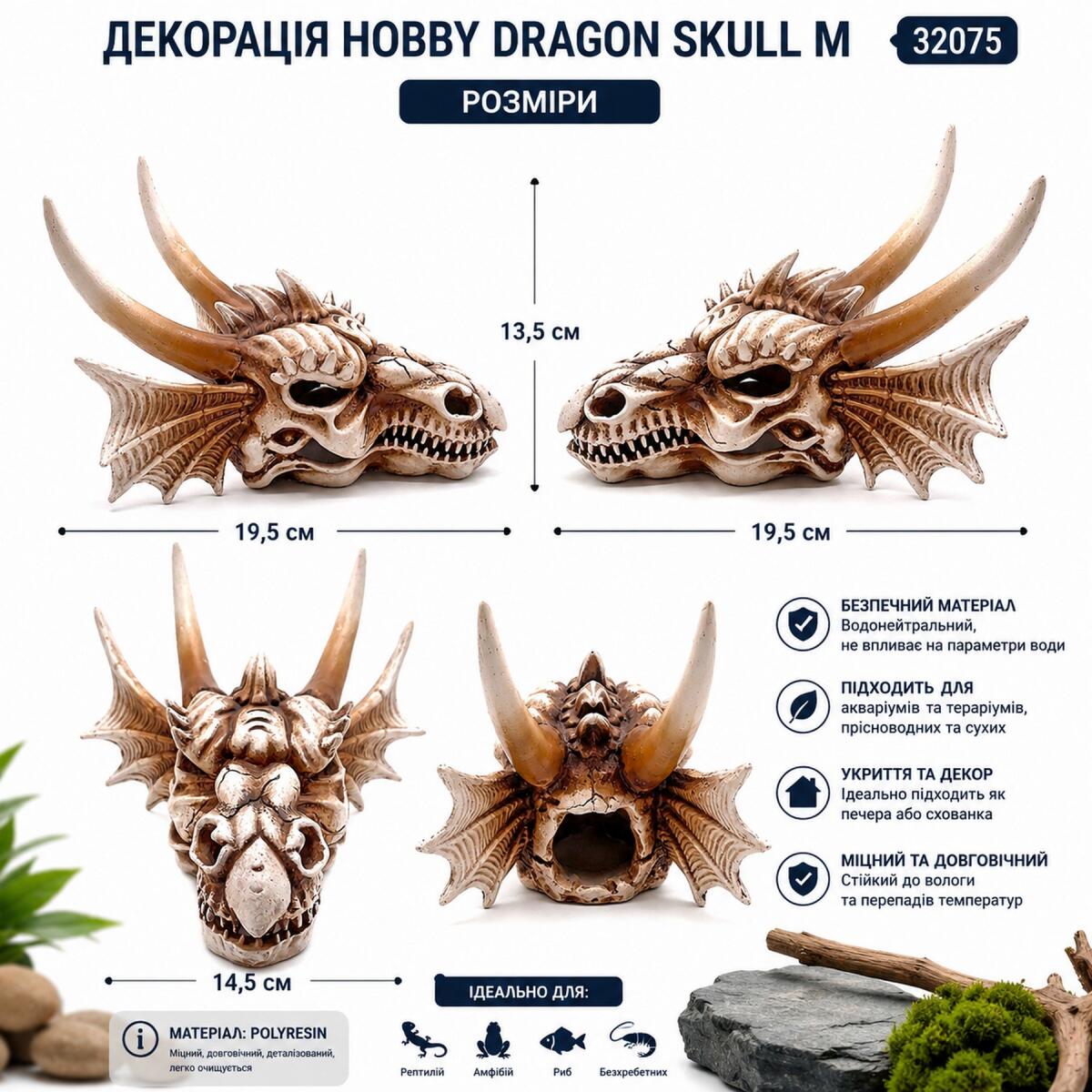Декорація череп дракона Hobby Dragon Skull M 19,5×14,5×13,5 см для акваріума і тераріума (32075)