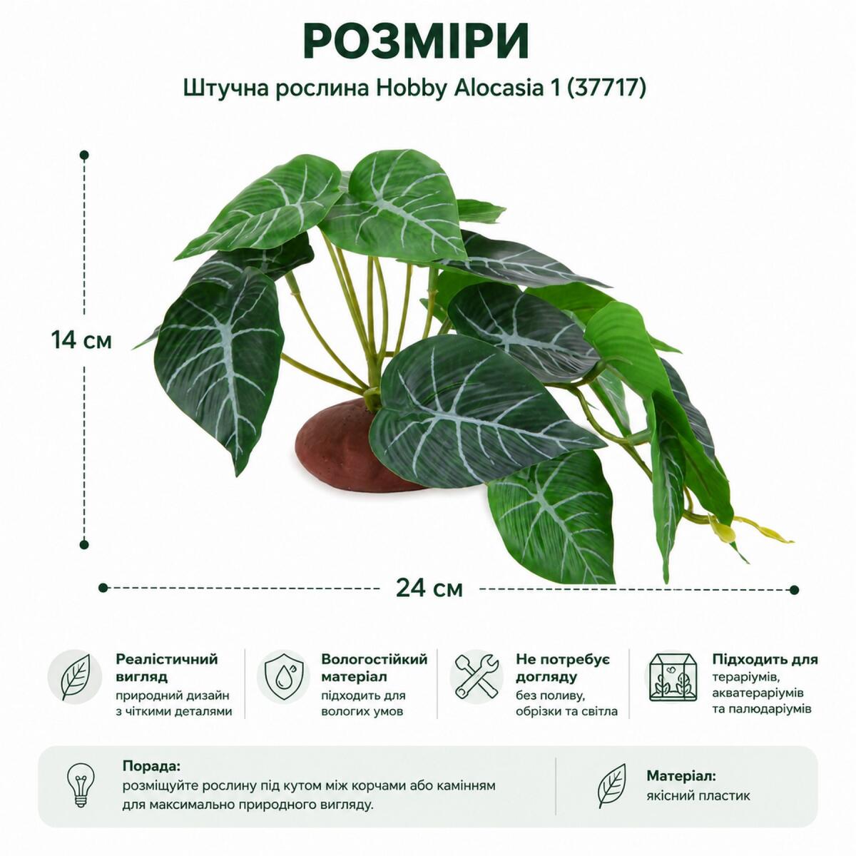 Штучна рослина Hobby Alocasia 1 24 × 14 см (37717) для тераріуму, акватераріуму та палюдаріуму