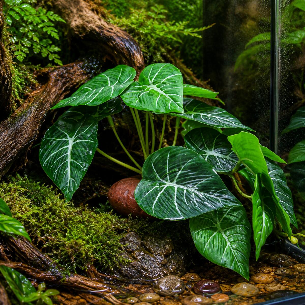 Штучна рослина Hobby Alocasia 1 24 × 14 см (37717) для тераріуму, акватераріуму та палюдаріуму