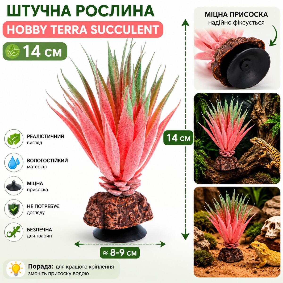 Штучна рослина Hobby Terra Succulent 1 14 см (37730) для тераріуму, акватераріуму та палюдаріуму