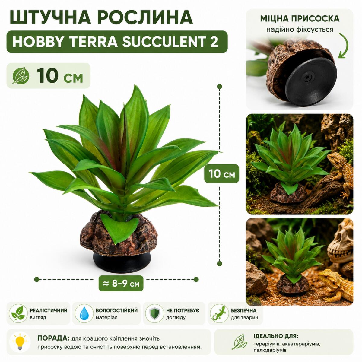 Штучна рослина Hobby Terra Succulent 2 10 см (37731) для тераріуму, акватераріуму та палюдаріуму
