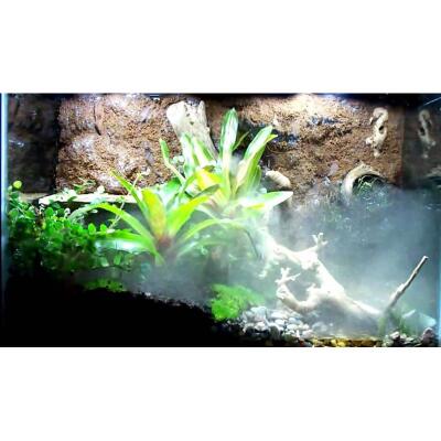 Генератор туману Repti-Zoo TerraFog (FMM01) для тераріумів