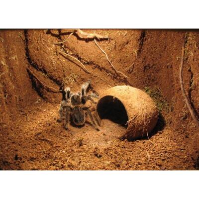 Підкладка з кокосового волокна Repti-Zoo Coconut fiber Substrate 8л (SB650)